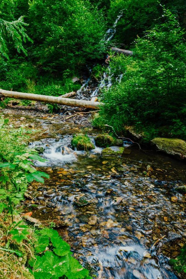 Apartman U Vlka - Hubertus, Karlova Studánka エクステリア 写真