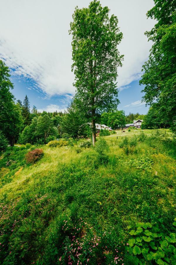 Apartman U Vlka - Hubertus, Karlova Studánka エクステリア 写真